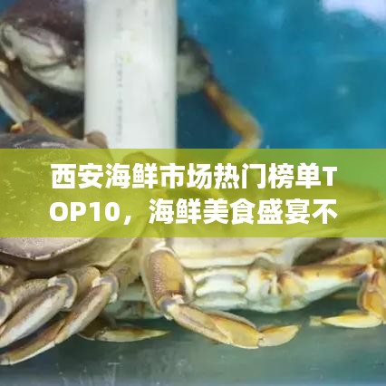 西安海鮮市場熱門榜單TOP10,海鮮美食盛宴不容錯過!