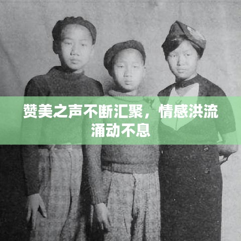 贊美之聲不斷匯聚,情感洪流涌動不息