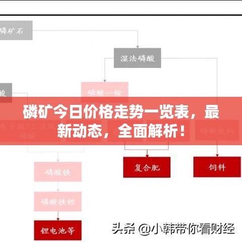 磷礦今日價格走勢一覽表，最新動態，全面解析！