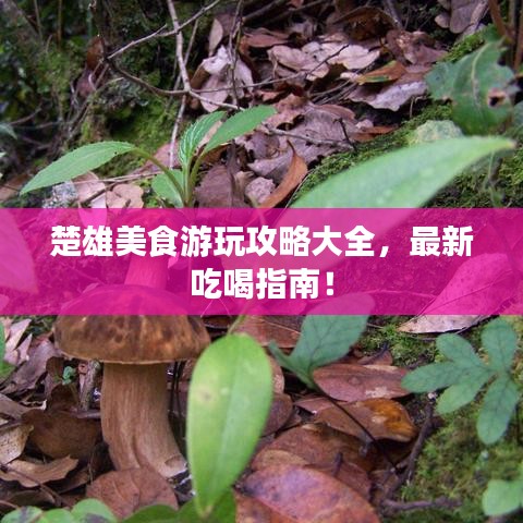 楚雄美食游玩攻略大全，最新吃喝指南！