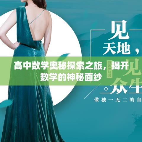 高中數(shù)學(xué)奧秘探索之旅，揭開數(shù)學(xué)的神秘面紗