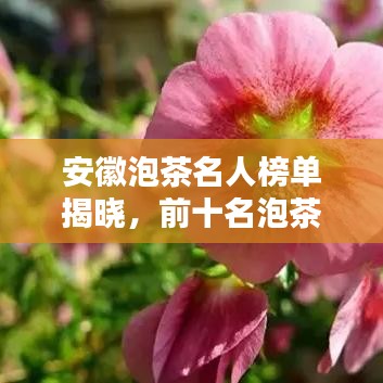 安徽泡茶名人榜單揭曉,前十名泡茶大師風采盤點