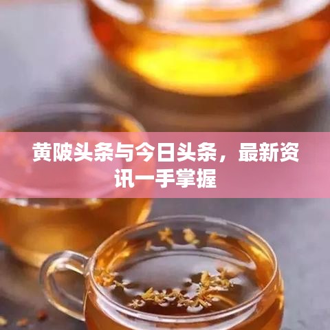 黃陂頭條與今日頭條，最新資訊一手掌握