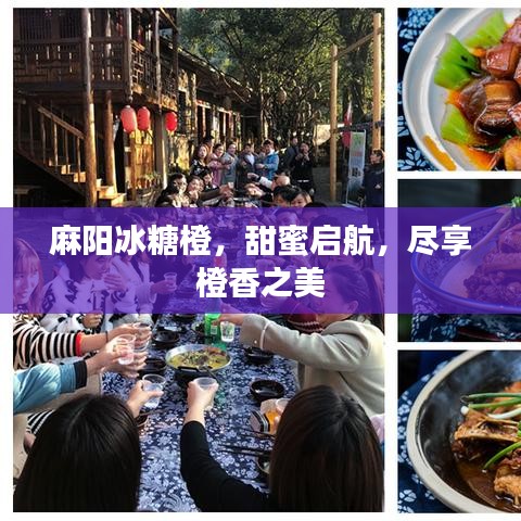 麻陽冰糖橙,甜蜜啟航,盡享橙香之美