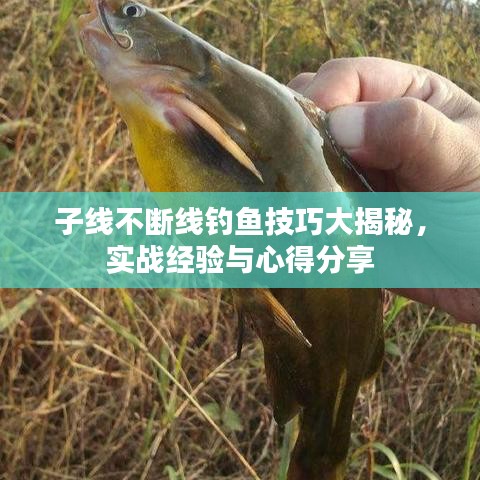 子線不斷線釣魚技巧大揭秘,實戰經驗與心得分享