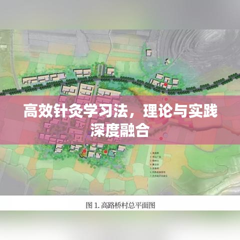 高效針灸學習法,理論與實踐深度融合