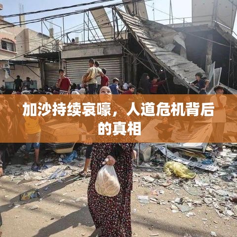 加沙持續哀嚎，人道危機背后的真相