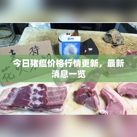 還醇返樸 第2頁