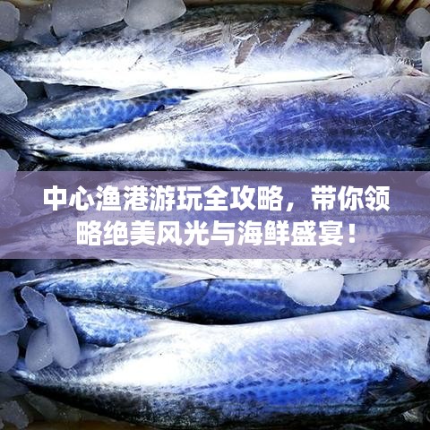中心漁港游玩全攻略,帶你領略絕美風光與海鮮盛宴!