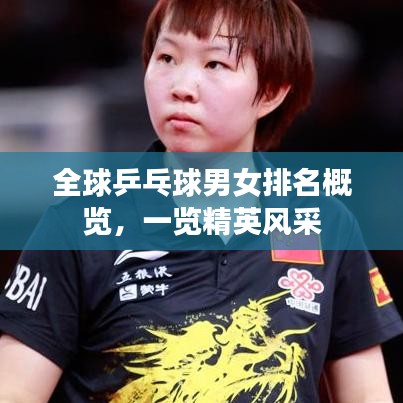 全球乒乓球男女排名概覽，一覽精英風采