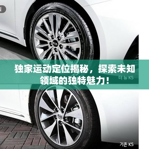 獨(dú)家運(yùn)動(dòng)定位揭秘，探索未知領(lǐng)域的獨(dú)特魅力！