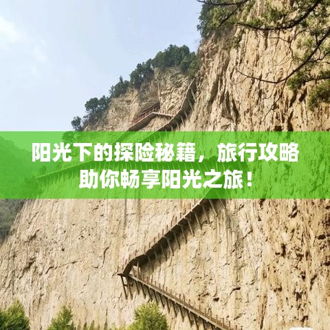 陽光下的探險秘籍,旅行攻略助你暢享陽光之旅!