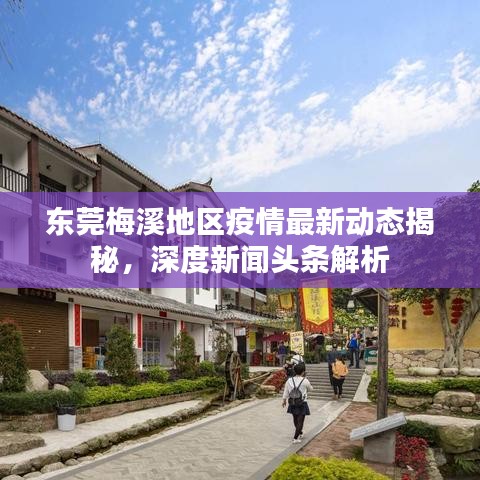 東莞梅溪地區疫情最新動態揭秘,深度新聞頭條解析