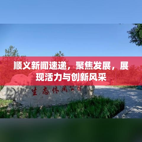 順義新聞速遞,聚焦發展,展現活力與創新風采