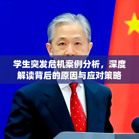 學(xué)生突發(fā)危機(jī)案例分析,深度解讀背后的原因與應(yīng)對策略
