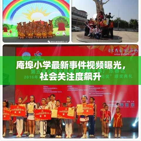 庵埠小學最新事件視頻曝光，社會關注度飆升