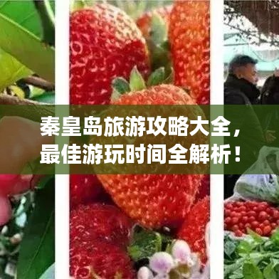 秦皇島旅游攻略大全,最佳游玩時間全解析!