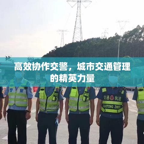 高效協(xié)作交警,城市交通管理的精英力量