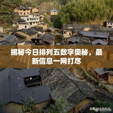 揭秘今日排列五數字奧秘，最新信息一網打盡