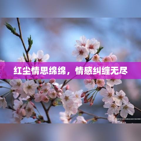 紅塵情思綿綿,情感糾纏無(wú)盡