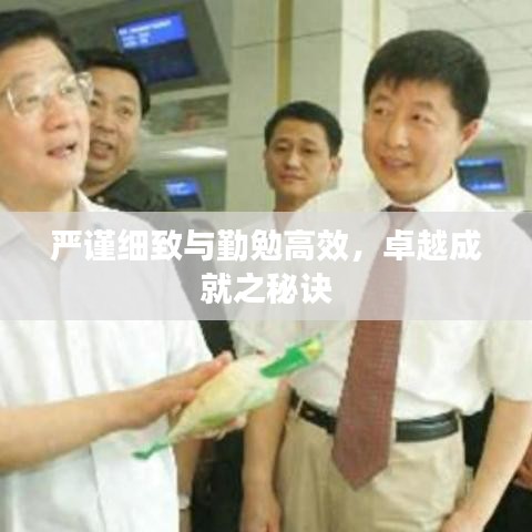 嚴謹細致與勤勉高效,卓越成就之秘訣