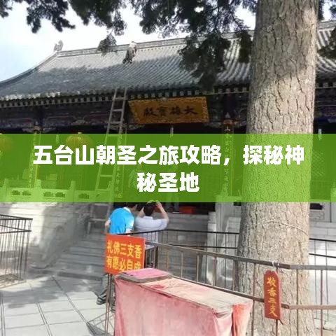 五臺山朝圣之旅攻略，探秘神秘圣地