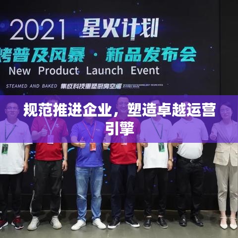 規(guī)范推進(jìn)企業(yè),塑造卓越運(yùn)營引擎