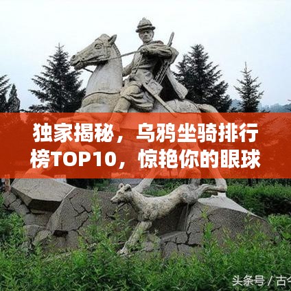 獨(dú)家揭秘,烏鴉坐騎排行榜TOP10,驚艷你的眼球!