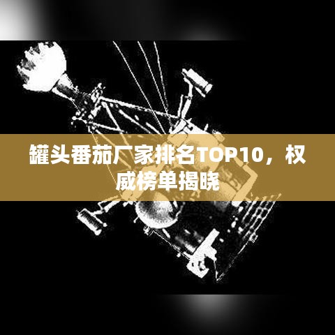 罐頭番茄廠家排名TOP10，權威榜單揭曉