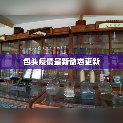 包頭疫情最新動態更新