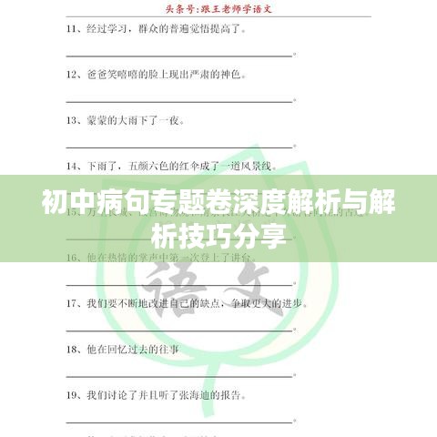 初中病句專題卷深度解析與解析技巧分享
