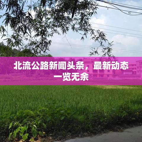 北流公路新聞頭條,最新動態一覽無余