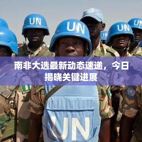 南非大選最新動態速遞,今日揭曉關鍵進展