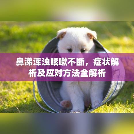 鼻涕渾濁咳嗽不斷,癥狀解析及應(yīng)對(duì)方法全解析