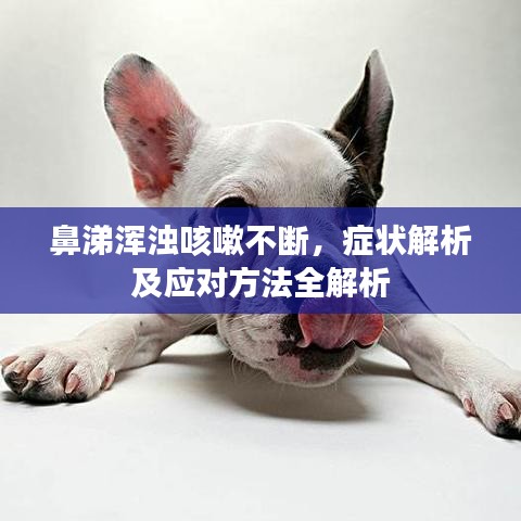 鼻涕渾濁咳嗽不斷,癥狀解析及應(yīng)對(duì)方法全解析