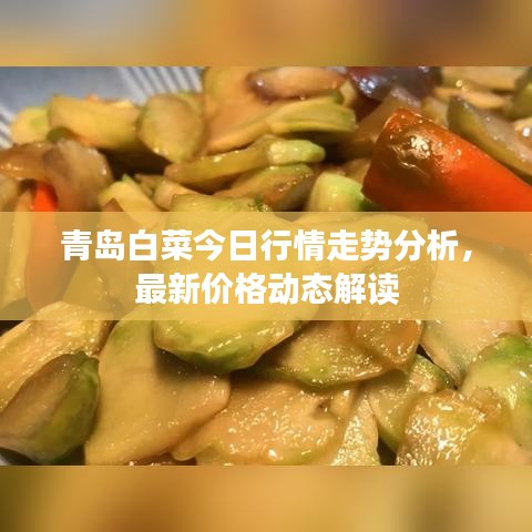 青島白菜今日行情走勢分析,最新價格動態解讀