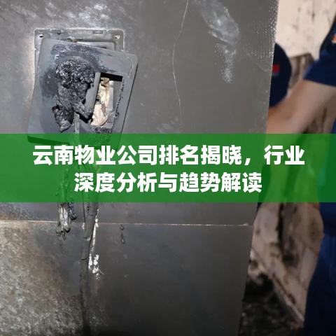 云南物業(yè)公司排名揭曉,行業(yè)深度分析與趨勢解讀