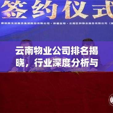 云南物業公司排名揭曉,行業深度分析與趨勢解讀