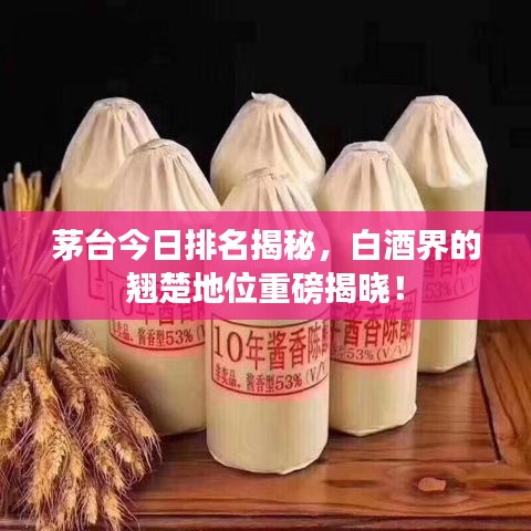 茅臺(tái)今日排名揭秘，白酒界的翹楚地位重磅揭曉！