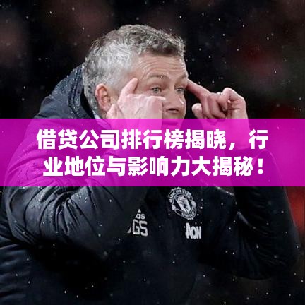 借貸公司排行榜揭曉，行業(yè)地位與影響力大揭秘！