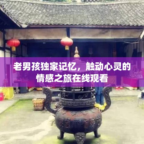 老男孩獨家記憶,觸動心靈的情感之旅在線觀看