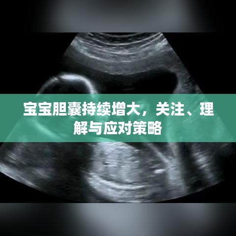 寶寶膽囊持續增大,關注、理解與應對策略