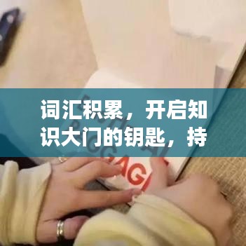 詞匯積累,開啟知識大門的鑰匙,持續學習成就未來之路