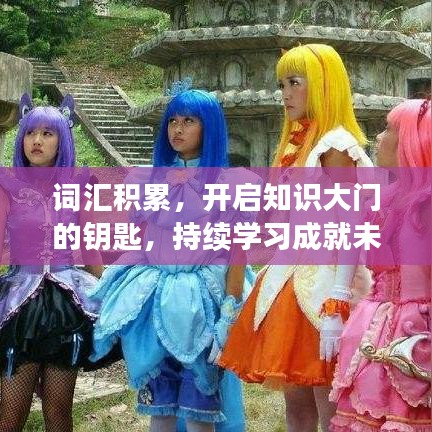 詞匯積累,開啟知識大門的鑰匙,持續學習成就未來之路