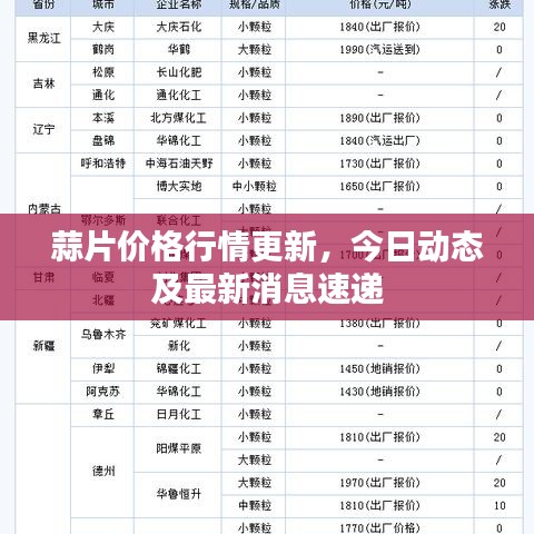 蒜片價格行情更新，今日動態及最新消息速遞