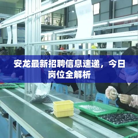 安龍最新招聘信息速遞，今日崗位全解析