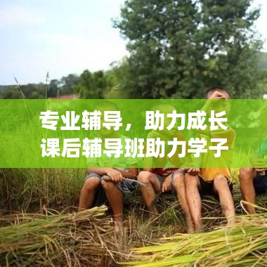 專業輔導,助力成長課后輔導班助力學子騰飛!