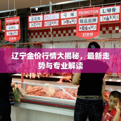 遼寧金價(jià)行情大揭秘,最新走勢(shì)與專業(yè)解讀