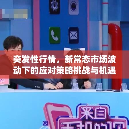 突發(fā)性行情,新常態(tài)市場波動(dòng)下的應(yīng)對策略挑戰(zhàn)與機(jī)遇