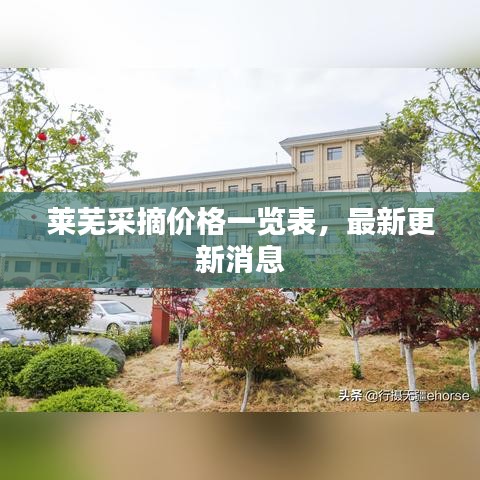 萊蕪采摘價格一覽表,最新更新消息